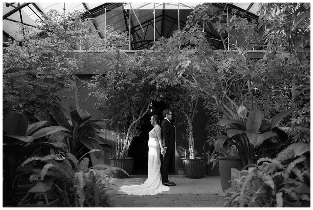 Bride and groom first look at Planterra Conservatory wedding.