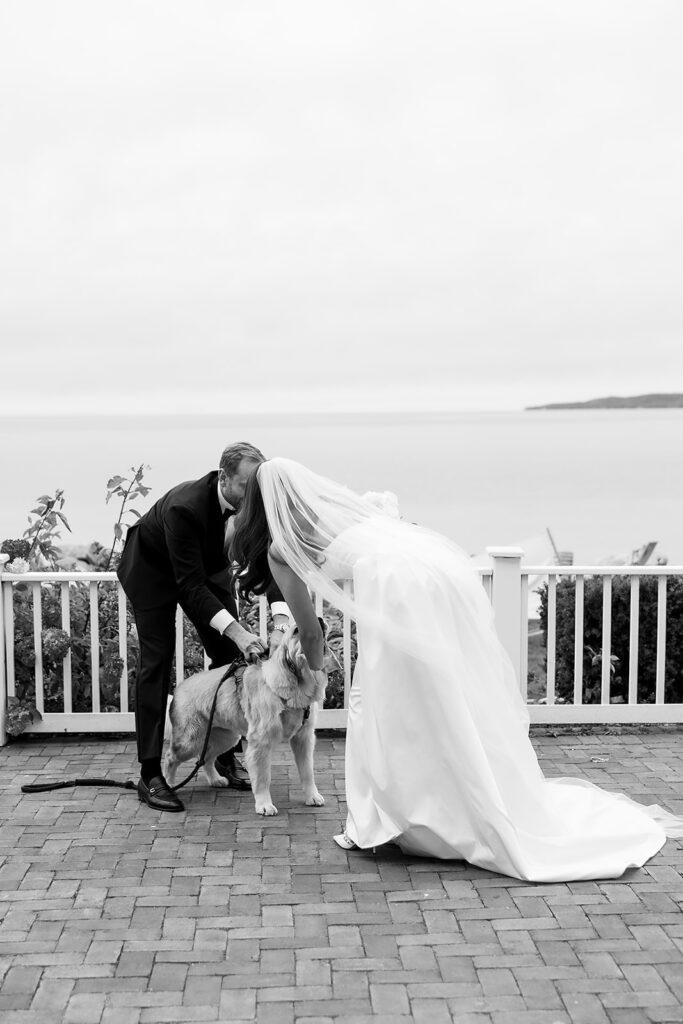 Bride and groom kneeling to pet their dog during their first look near the water.