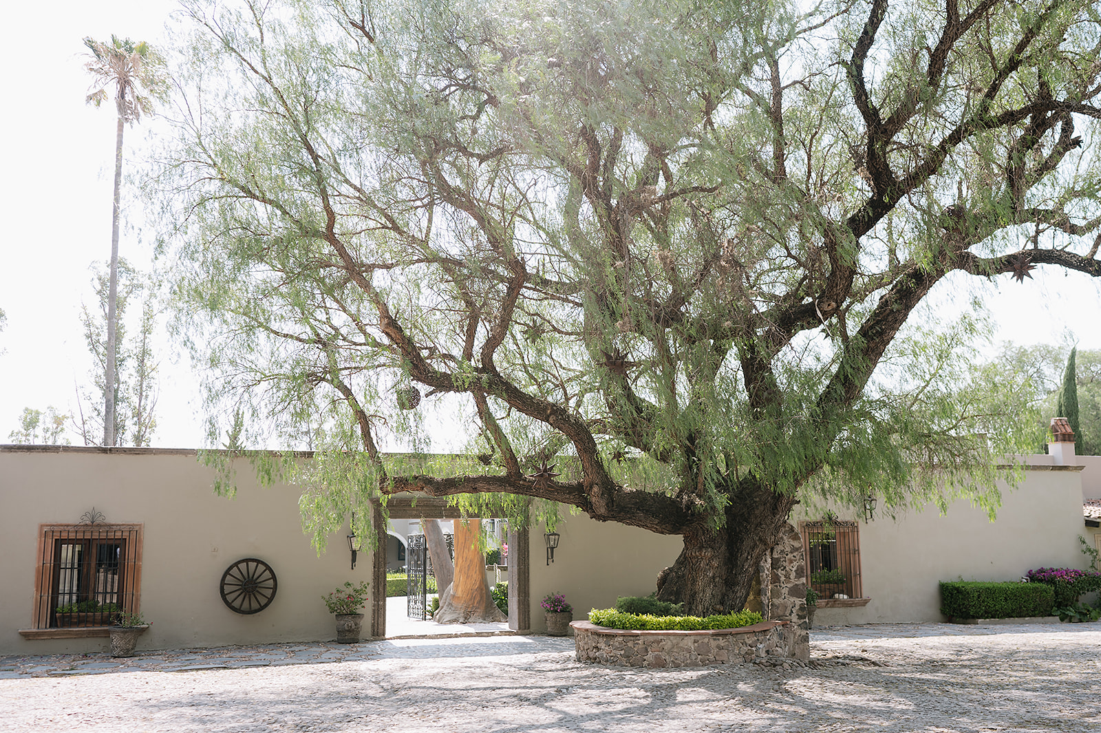 Hacienda San Luis Gonzaga