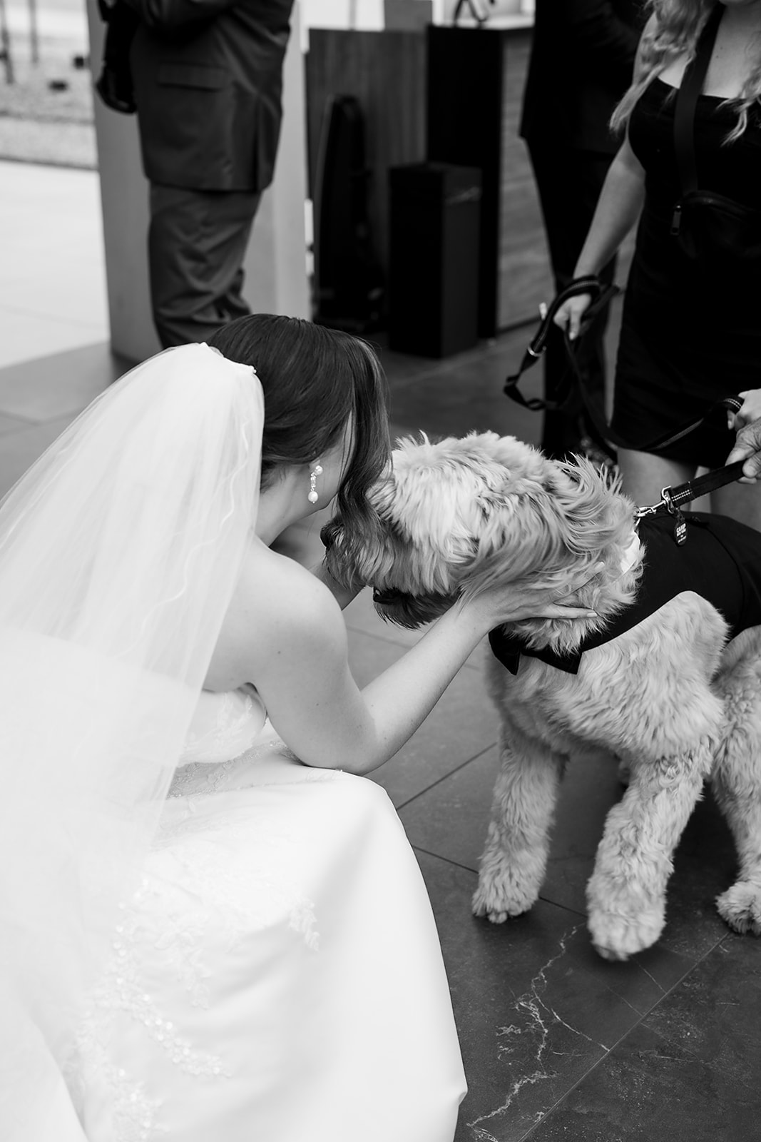Bride greeting her dog during wedding portraits at The War Memorial in Grosse Pointe Farms.